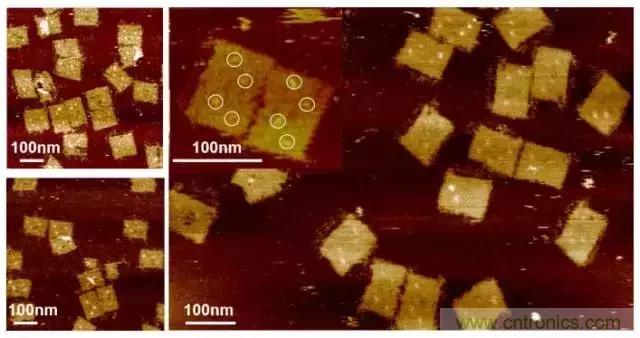 中美科學(xué)家聯(lián)手，用DNA納米機器人殺死癌細胞