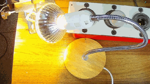 電燈泡內(nèi)通有交流電，為什么看不到燈泡在閃爍？