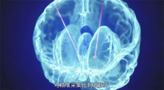 20260212045329766.png